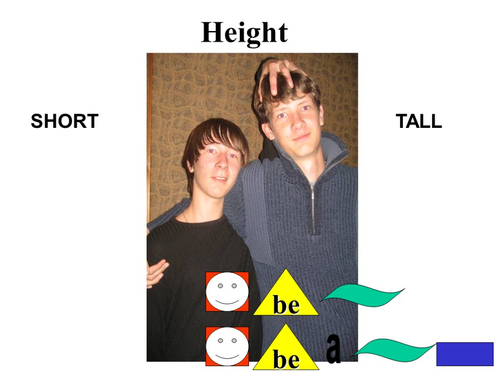 Height SHORT TALL